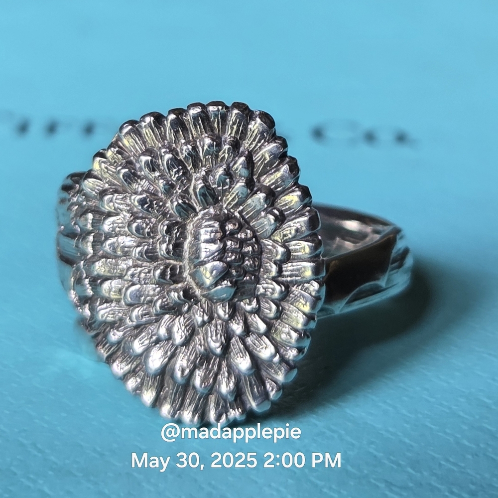 1885 Tiffany & Co.  Dandelion Spoon Ring in Sterling Silver Luxury Vintage #44 - Picture 8 of 12